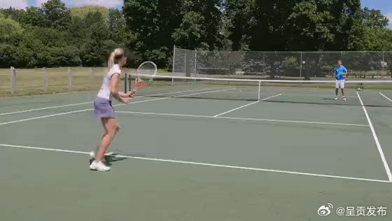 为什么只有网球带绒毛