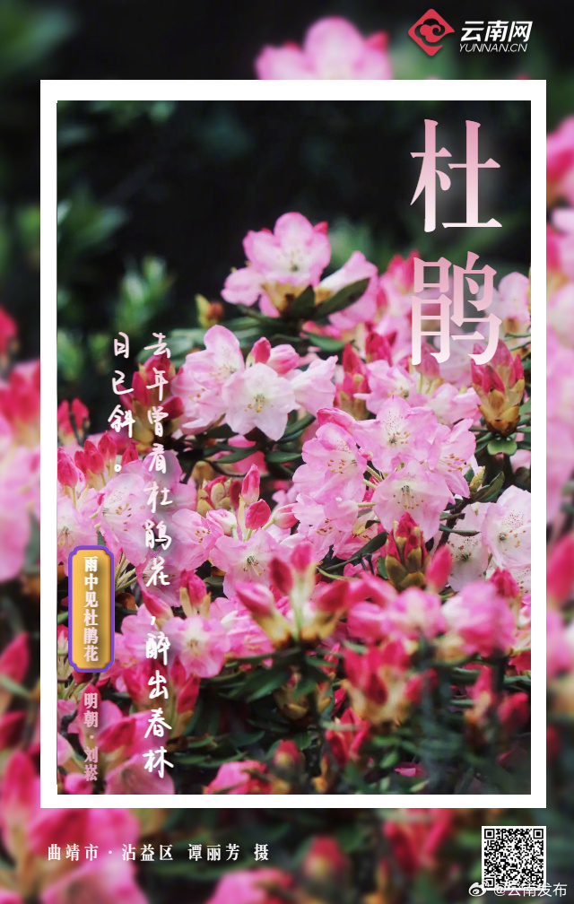 云南发布