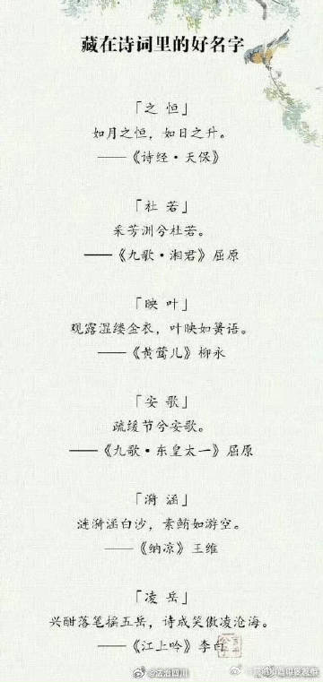 昆明市西山区发布