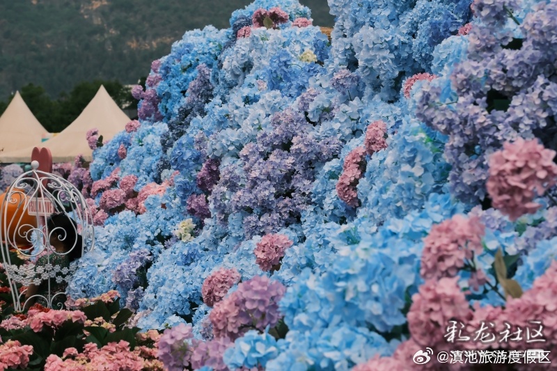 滇池旅游度假区