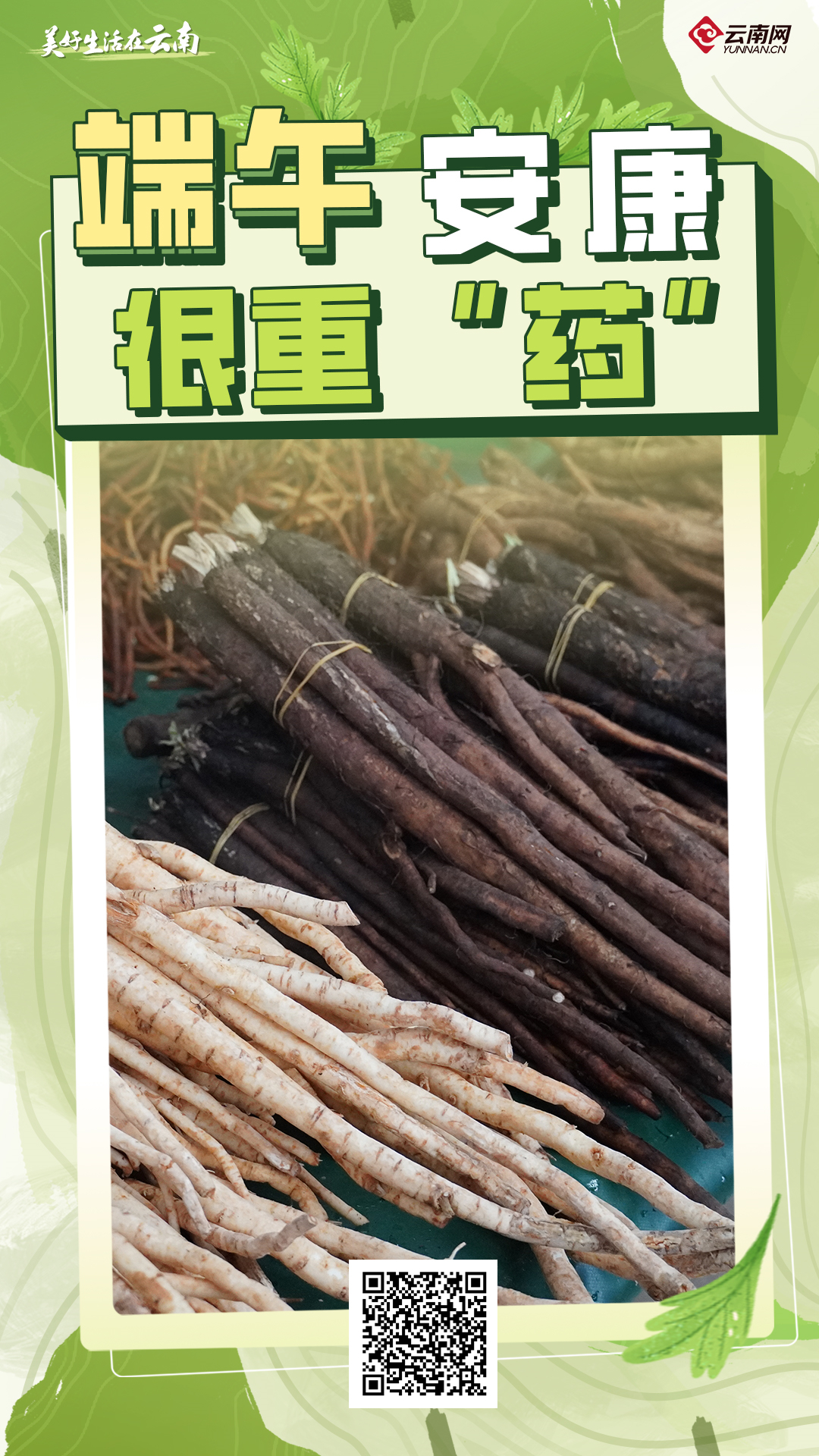 云南省文化和旅游厅