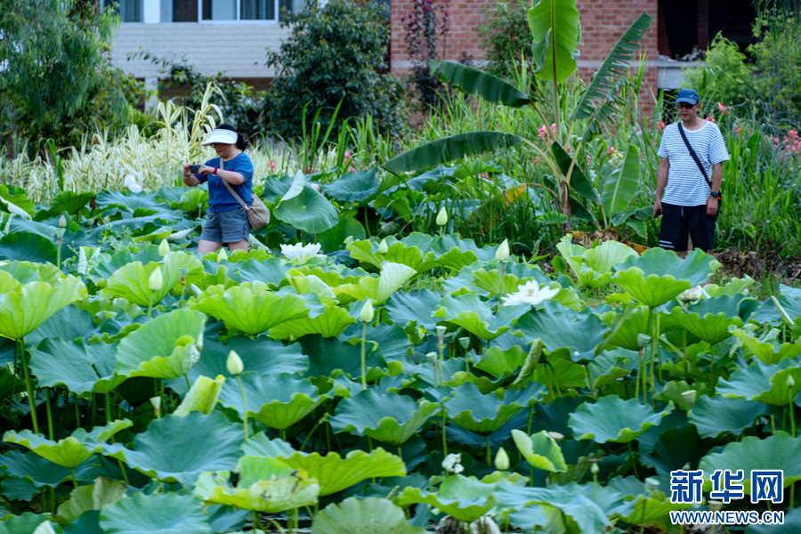 云南省文化和旅游厅