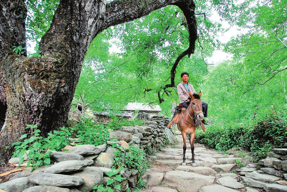 云南省文化和旅游厅