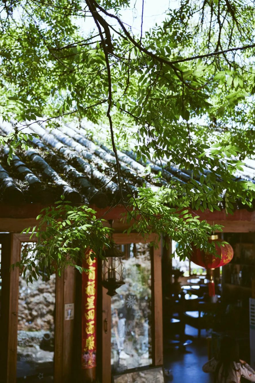 云南省文化和旅游厅