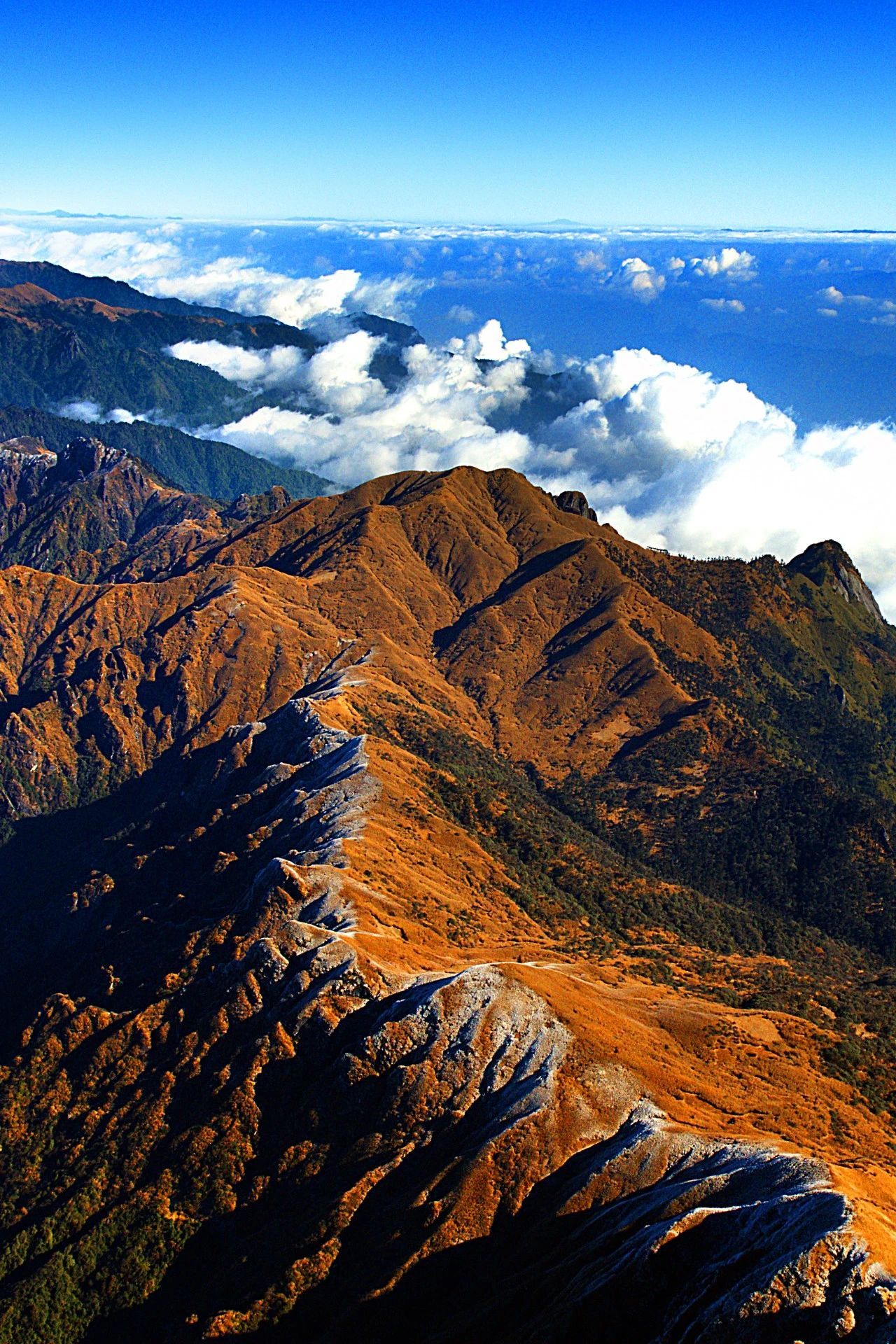 云南省文化和旅游厅