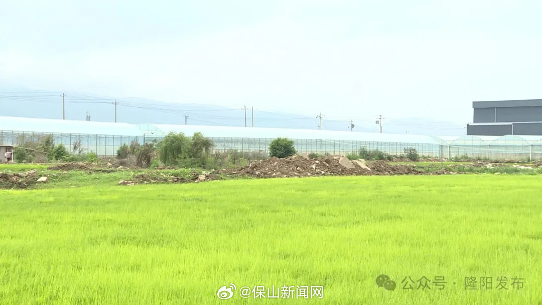 保山新闻网