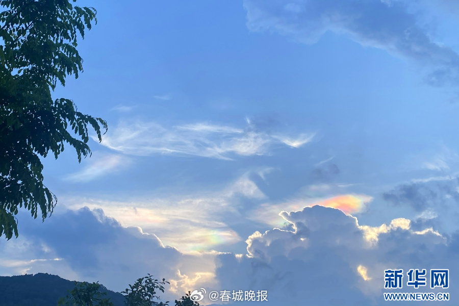春城晚报