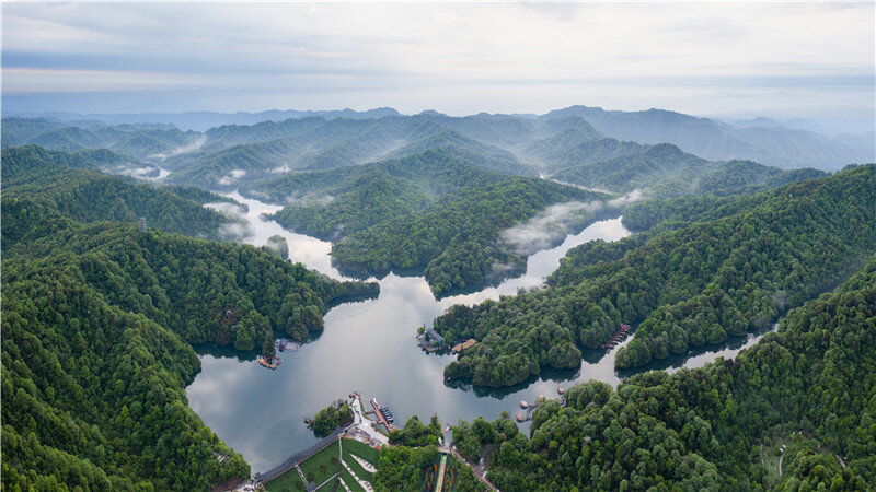 云南省文化和旅游厅