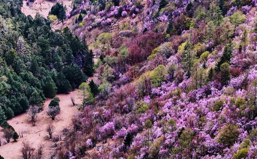 云南省文化和旅游厅