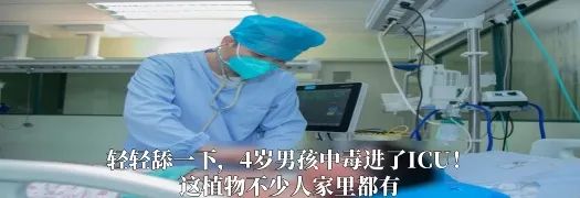 8099999街头巷尾微信