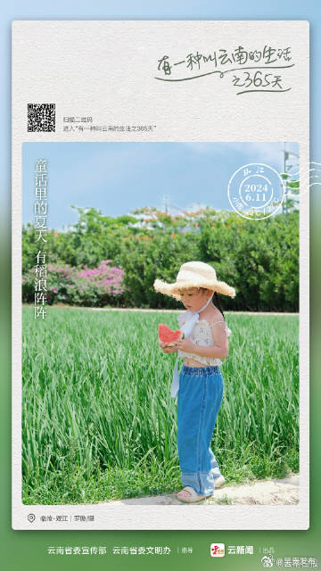 风吹稻浪 在这里找到梦幻夏天——有一种叫云南的生活之365天