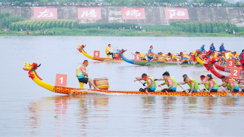 这个端午被赛龙舟硬控了