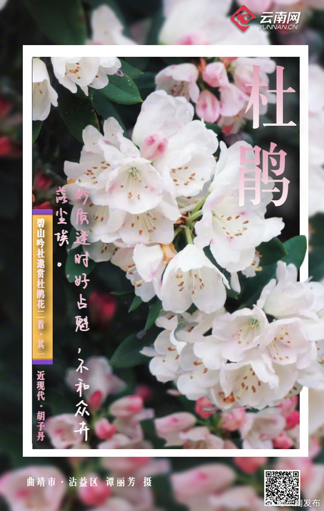 云南发布