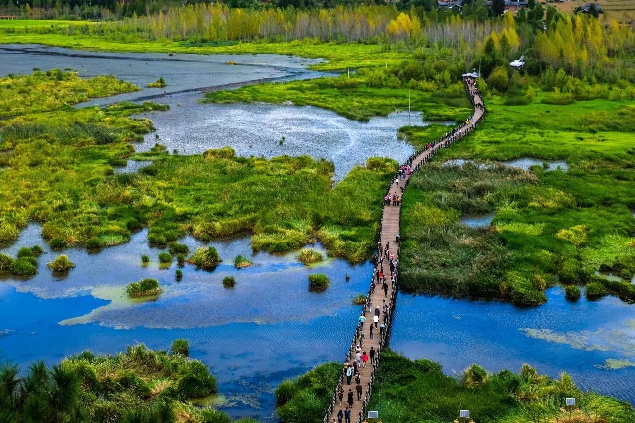 云南省文化和旅游厅