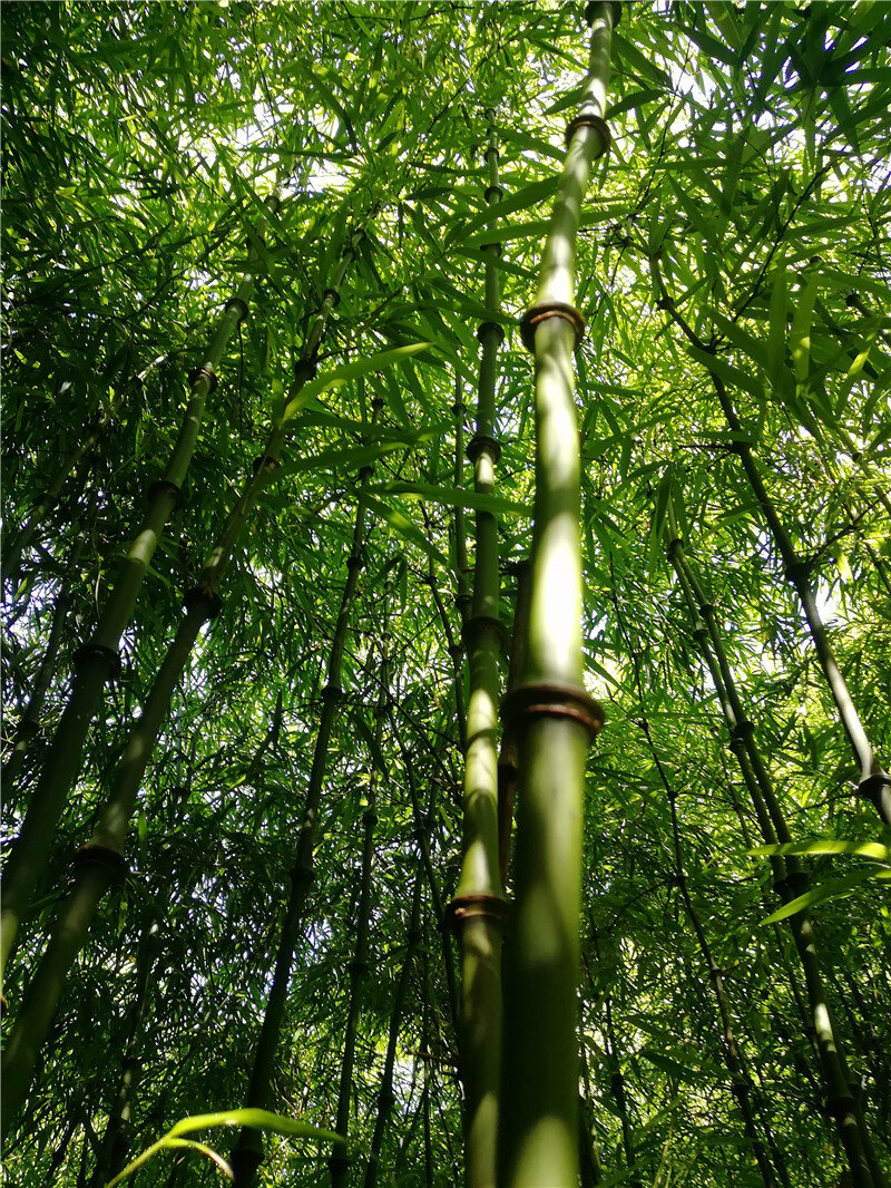 云南省文化和旅游厅