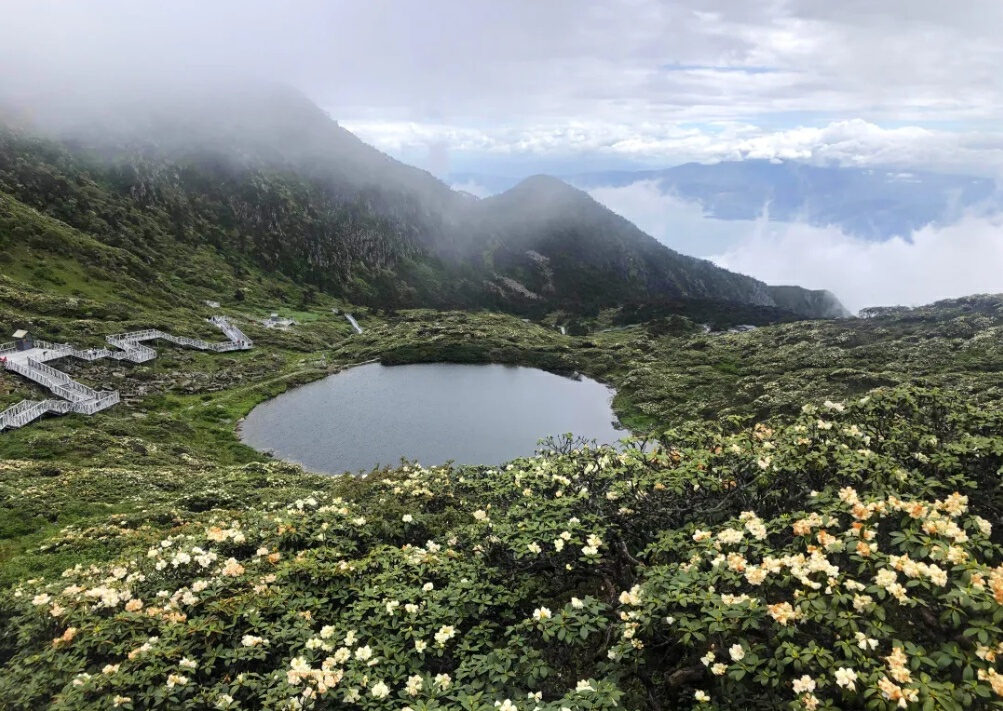 云南省文化和旅游厅