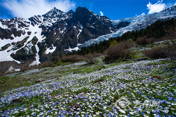 云南省文化和旅游厅