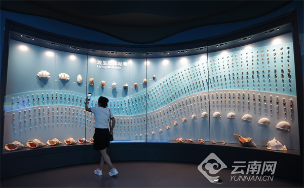 云南省文化和旅游厅