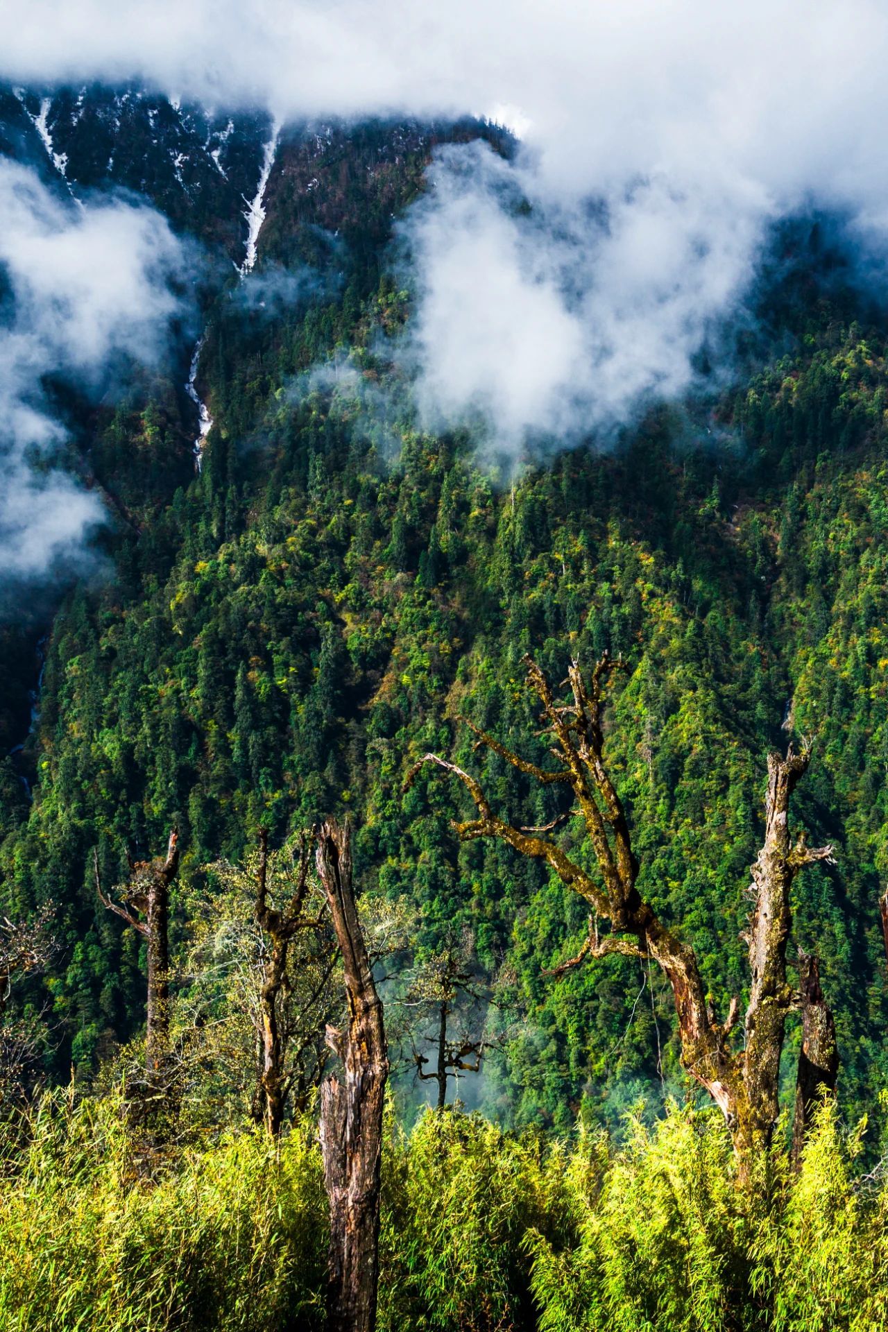 云南省文化和旅游厅