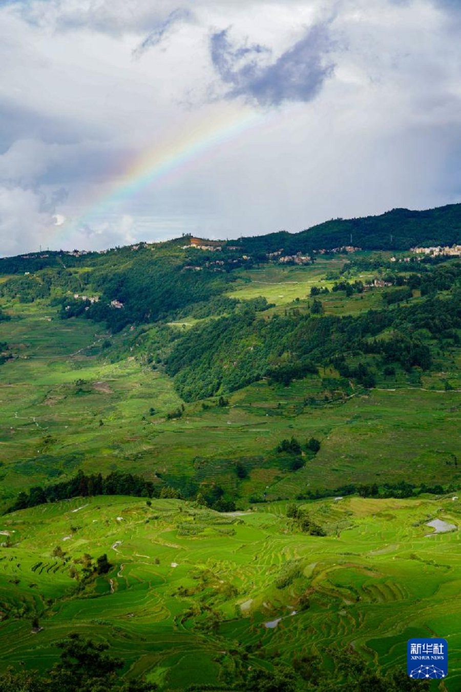 云南省文化和旅游厅