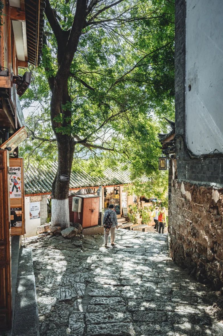 云南省文化和旅游厅