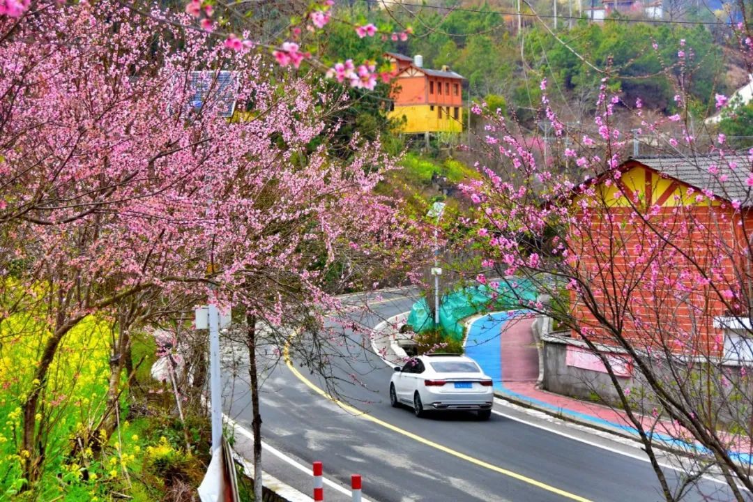 云南省文化和旅游厅