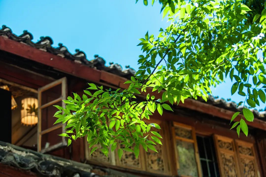 云南省文化和旅游厅