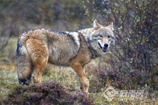 云南省文化和旅游厅