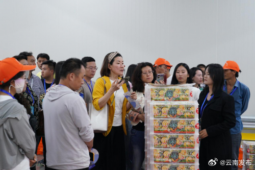 签约总金额12.94亿元！2024年宾川果品大会启动