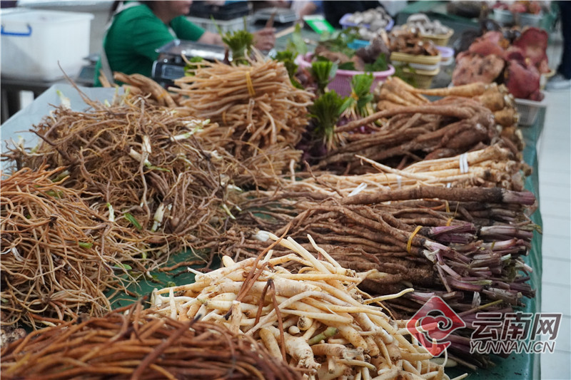 云南省文化和旅游厅