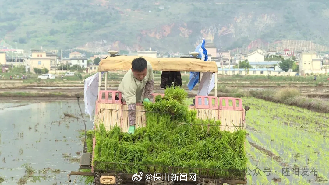 保山新闻网
