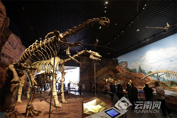 云南省文化和旅游厅