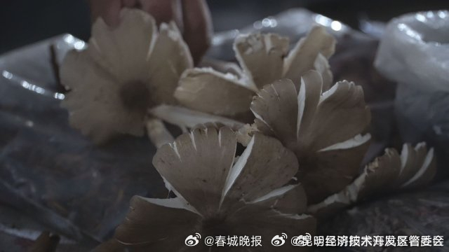 昆明经济技术开发区管委会