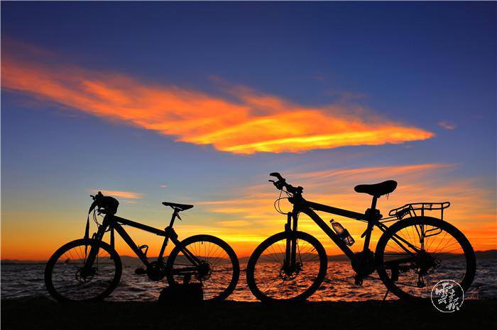 云南省文化和旅游厅