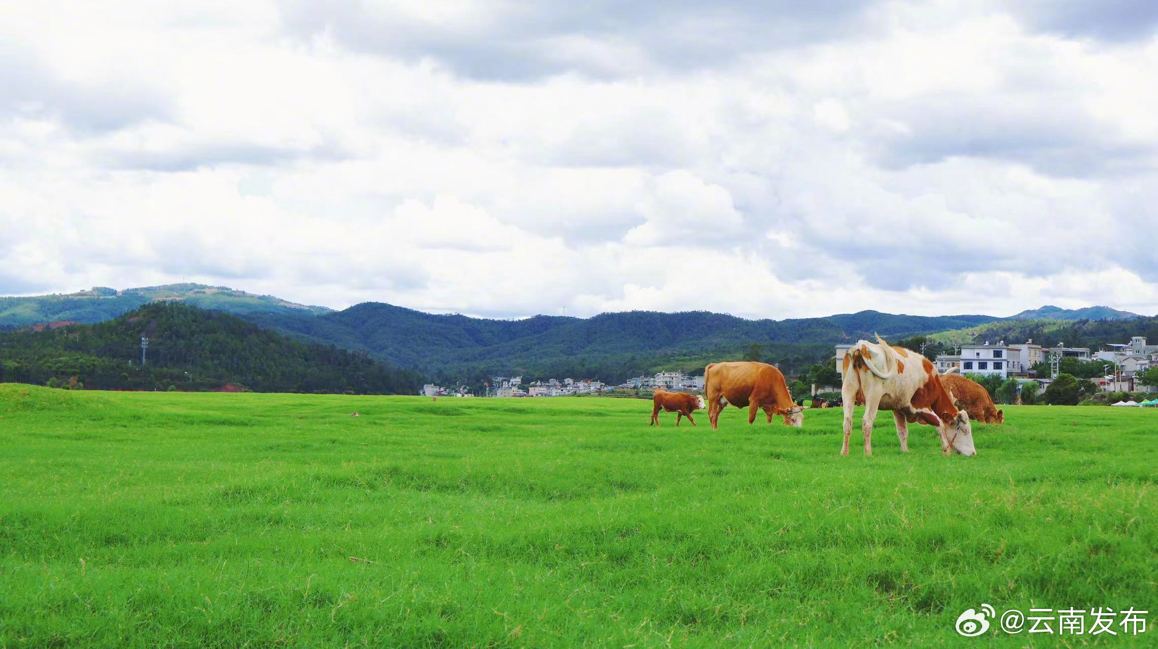 云南发布