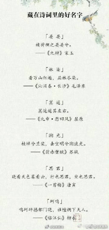 昆明市西山区发布