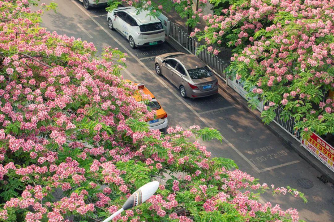 云南省文化和旅游厅