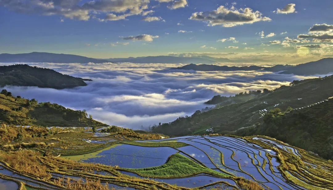 云南省文化和旅游厅