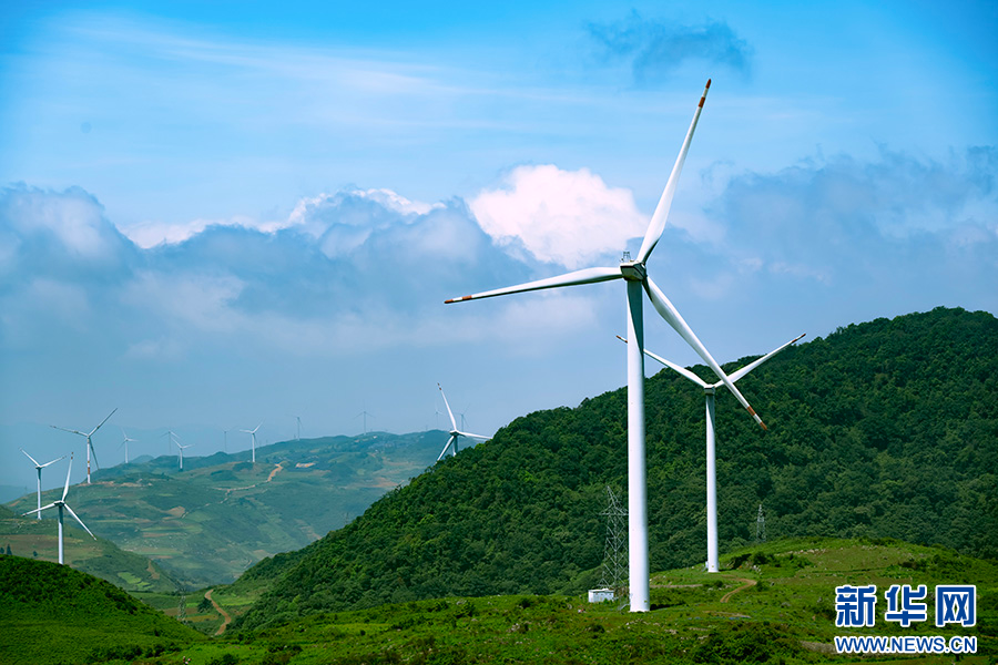 云南省文化和旅游厅