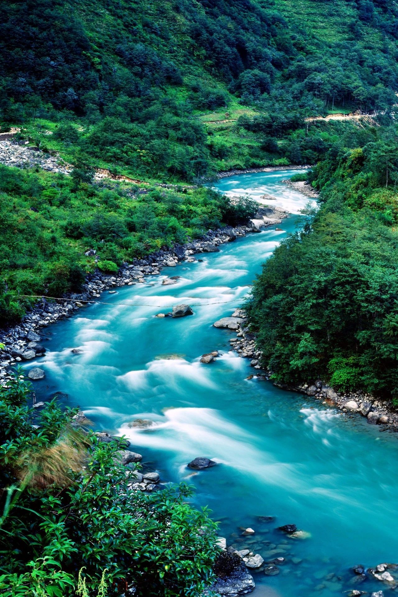 云南省文化和旅游厅