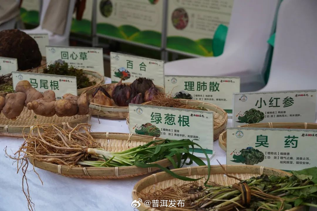 普洱发布