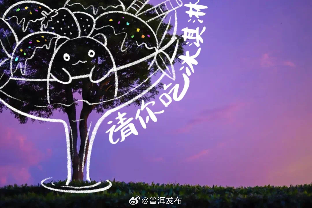普洱发布