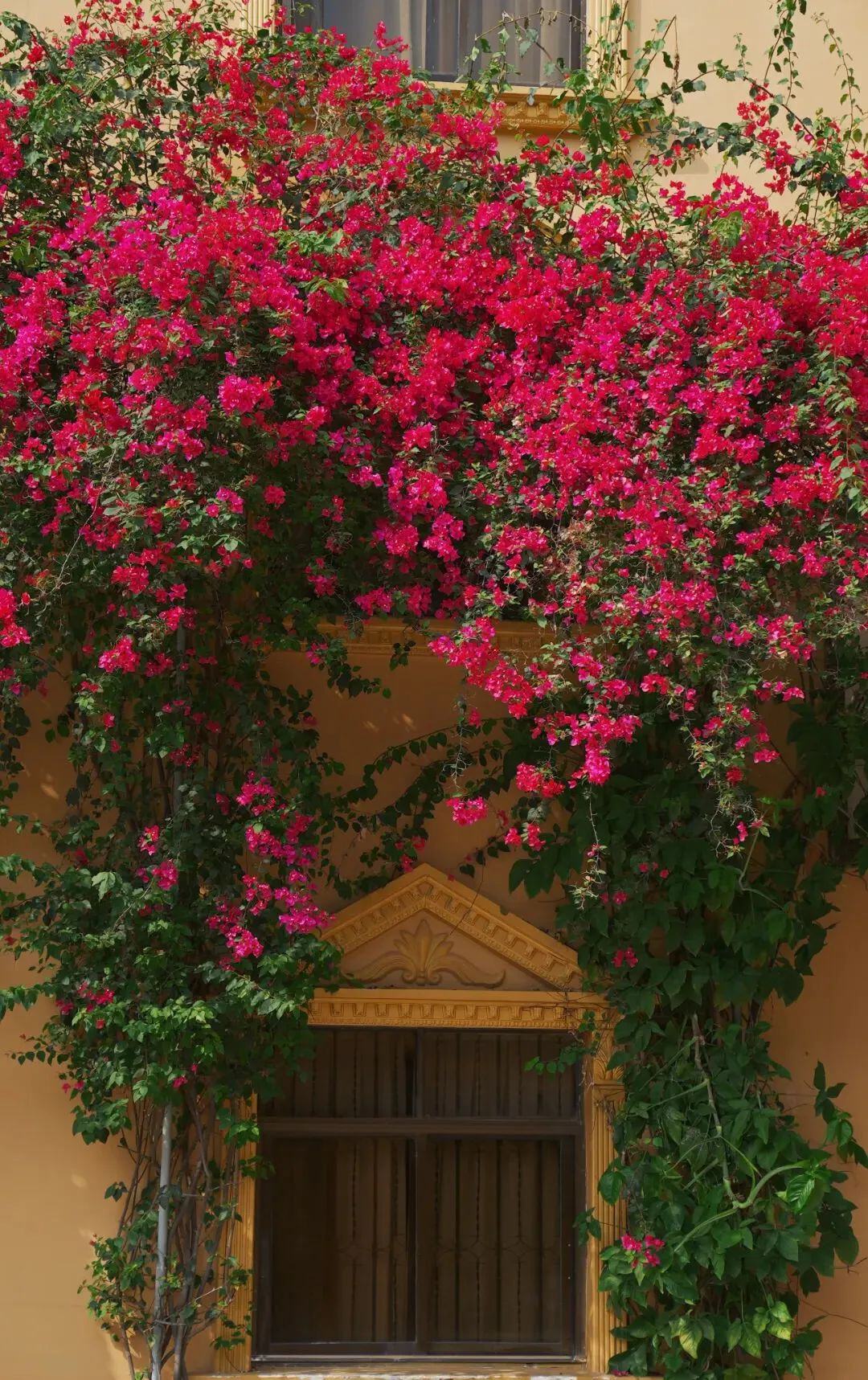 云南省文化和旅游厅