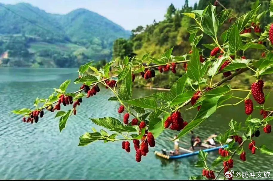 腾冲文旅