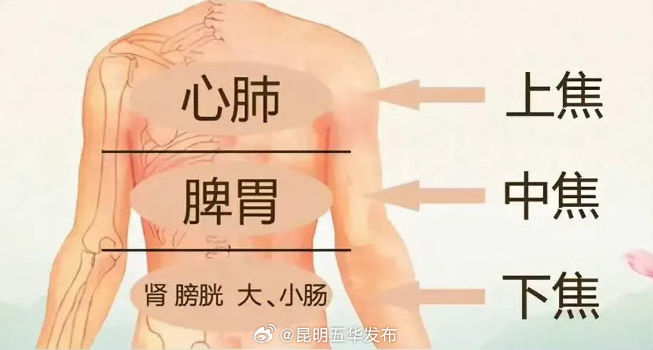 湿气重的人有5种表现