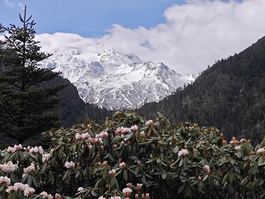 云南省文化和旅游厅