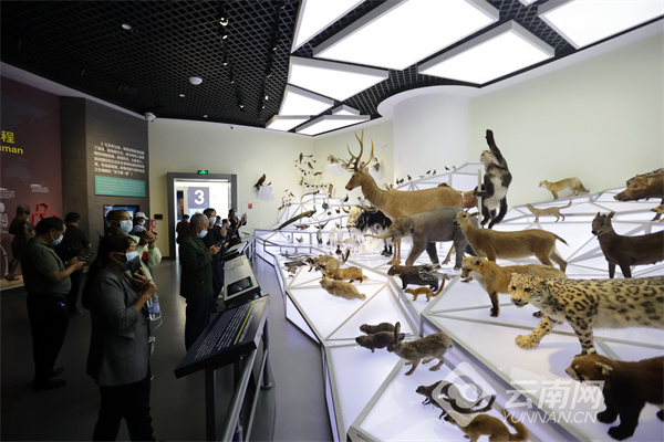 云南省文化和旅游厅