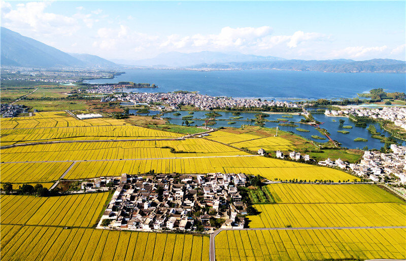 云南省文化和旅游厅