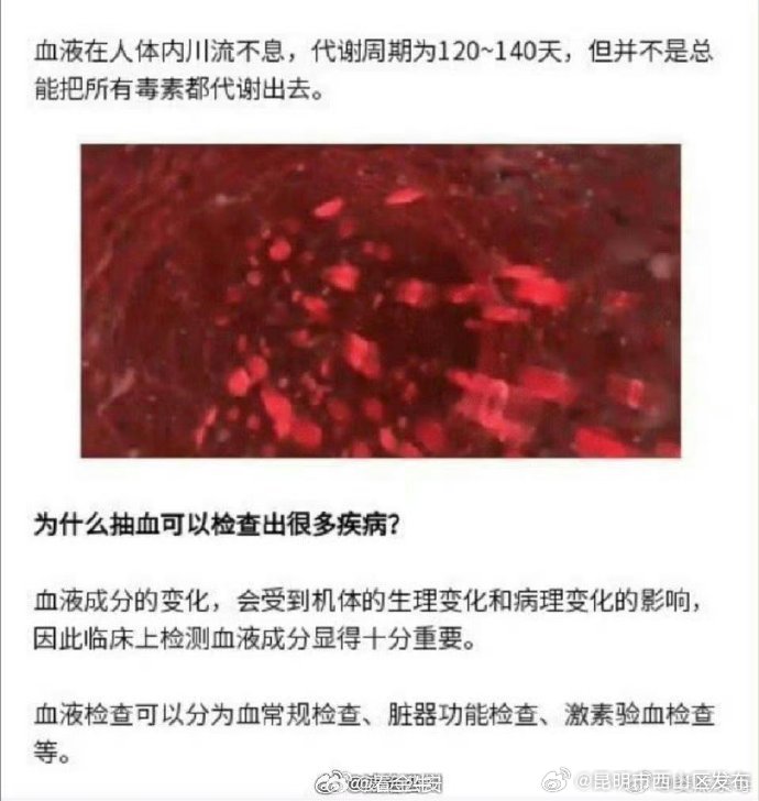 昆明市西山区发布