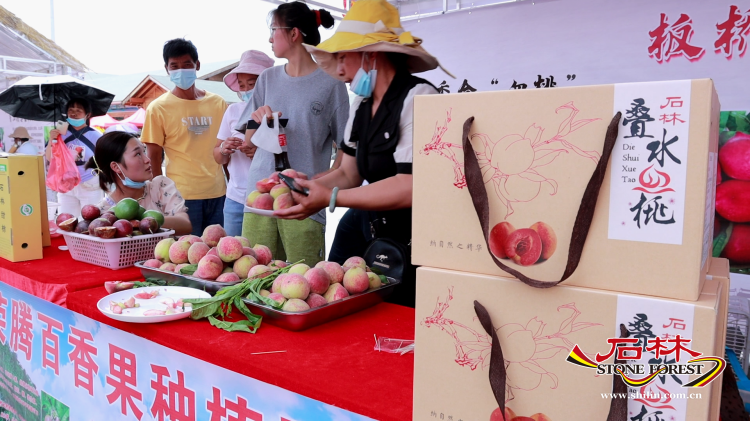 石林旅游网